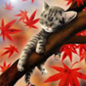 Meet your Posher, Jinhui